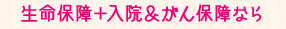 生命保障＋入院＆がん保障なら